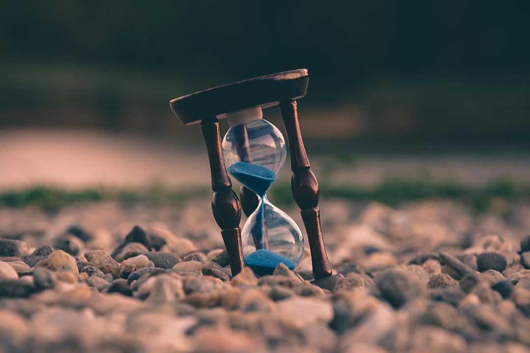 How Old Am I? — Free Online Age Calculator